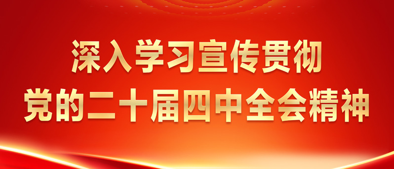 学习贯彻党的二十届四中全会精神